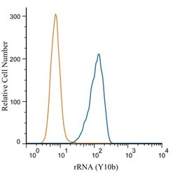 rRNA Antibody (Y10b), Alexa Fluor 488, Novus Biologicals 100 Tests; Alexa
